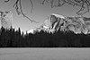 images/california/_d805176_bw_small.jpg