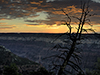 images/arizona/_6450157_small.jpg