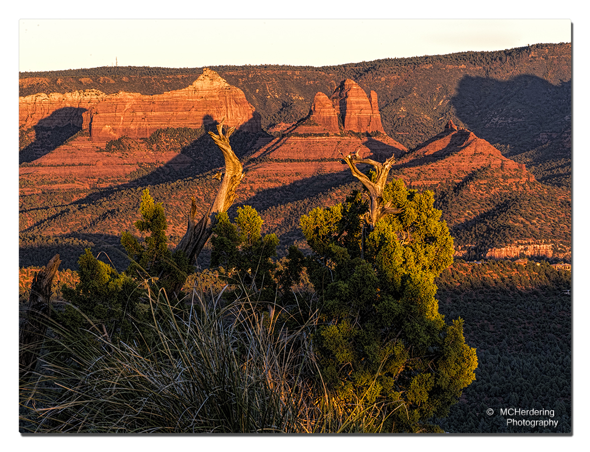 images/arizona/_6452314.jpg