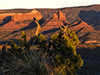 images/arizona/_6452314_small.jpg