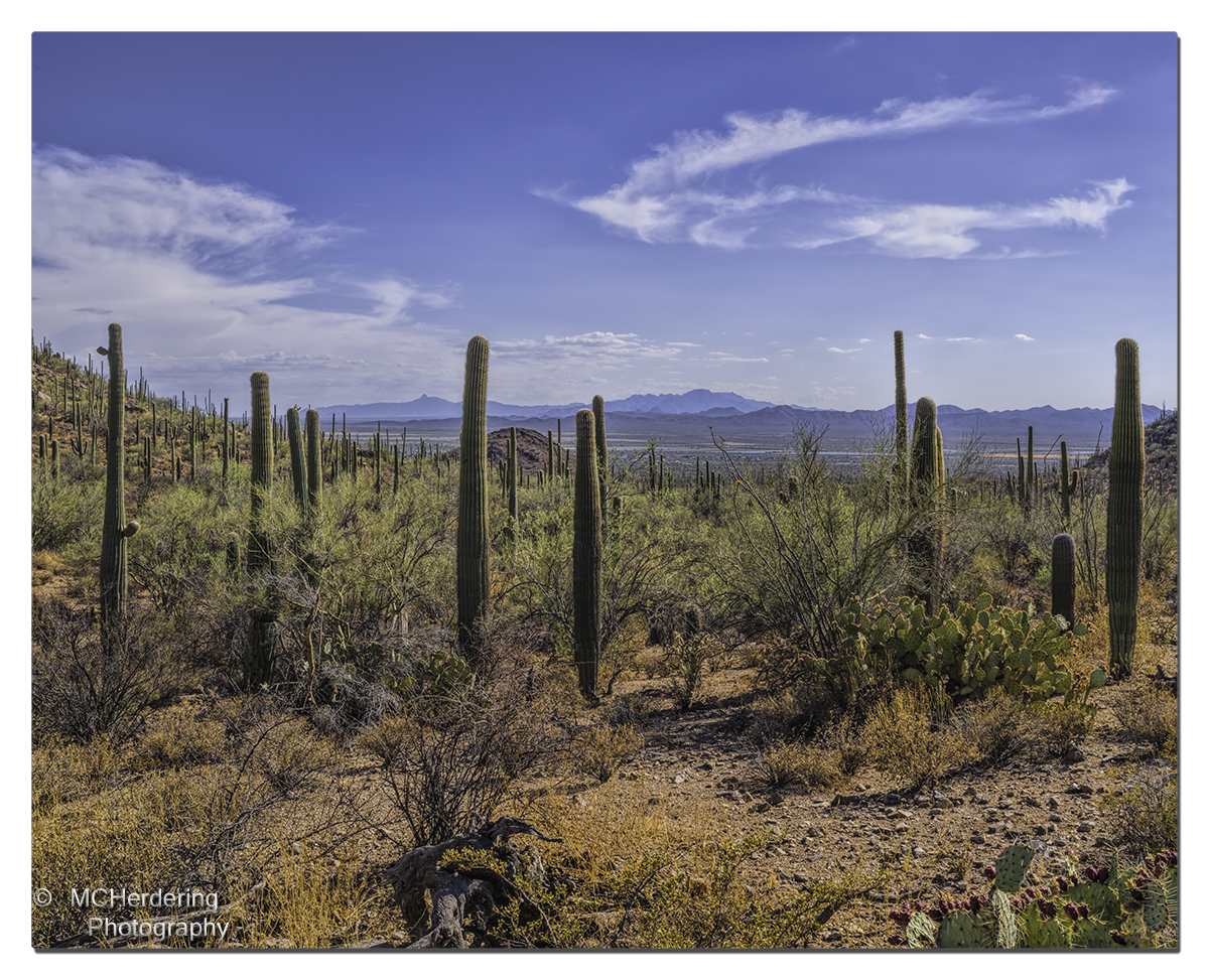 Click to inquire images/arizona/_6454749.jpg