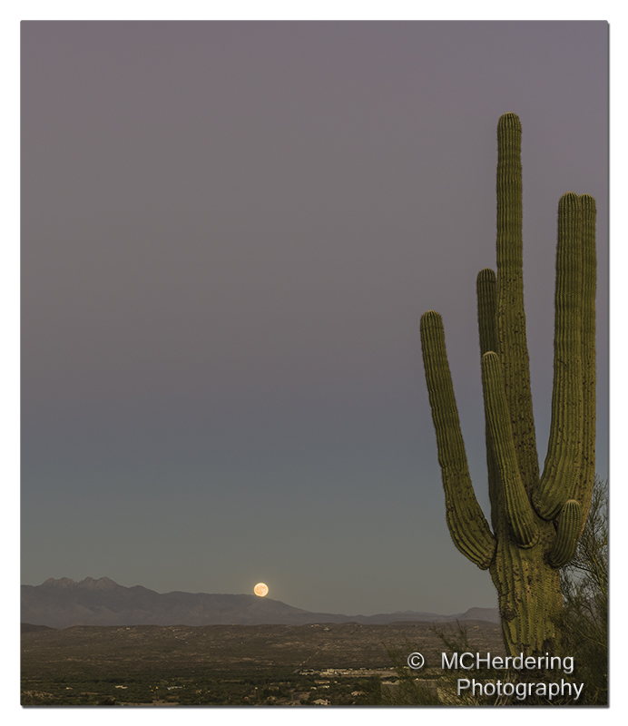 Click to inquire images/arizona/_6459251_2.jpg