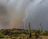 images/arizona/_k1_2852_small.jpg