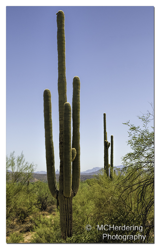 Click to inquire images/arizona/_k1_4128.jpg