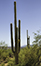 images/arizona/_k1_4128_small.jpg