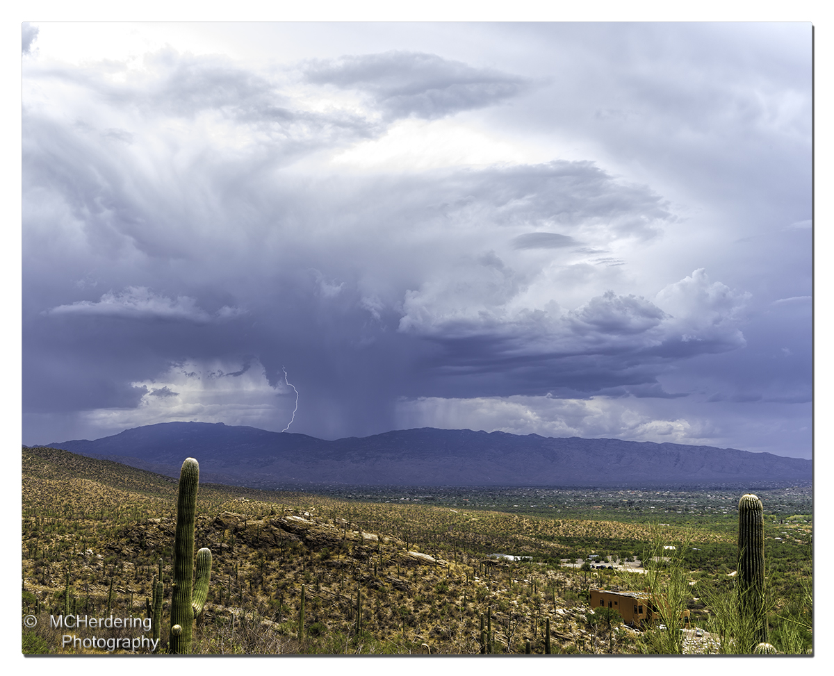 Click to inquire images/arizona/_k1_5379.jpg