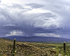 images/arizona/_k1_5379_small.jpg