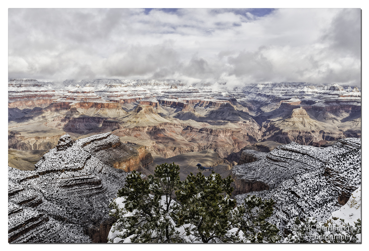 Click to inquire images/arizona/_k1_7899.jpg