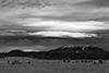 images/arizona/_k5_0124_bw_small.jpg