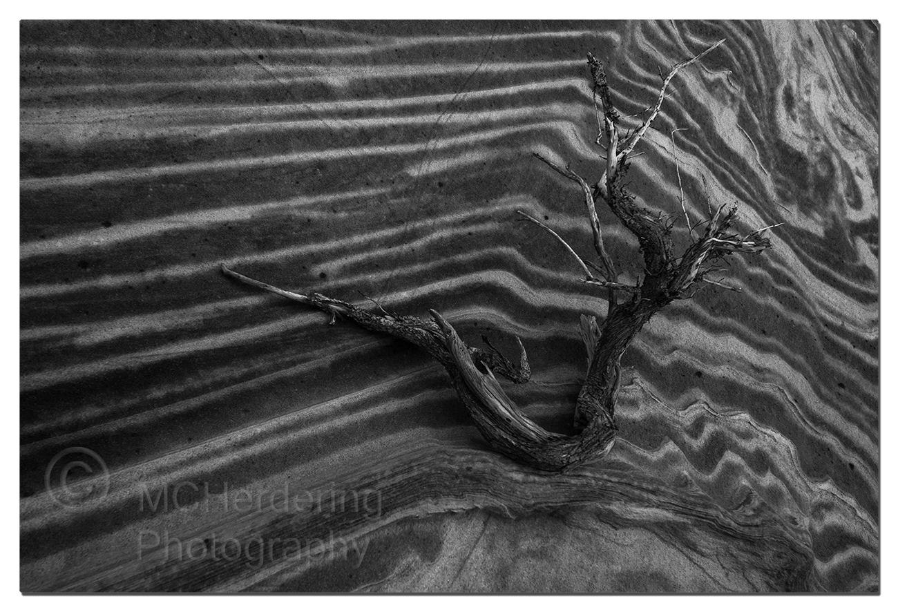 Click to inquire images/arizona/_k5_7582_bw.jpg