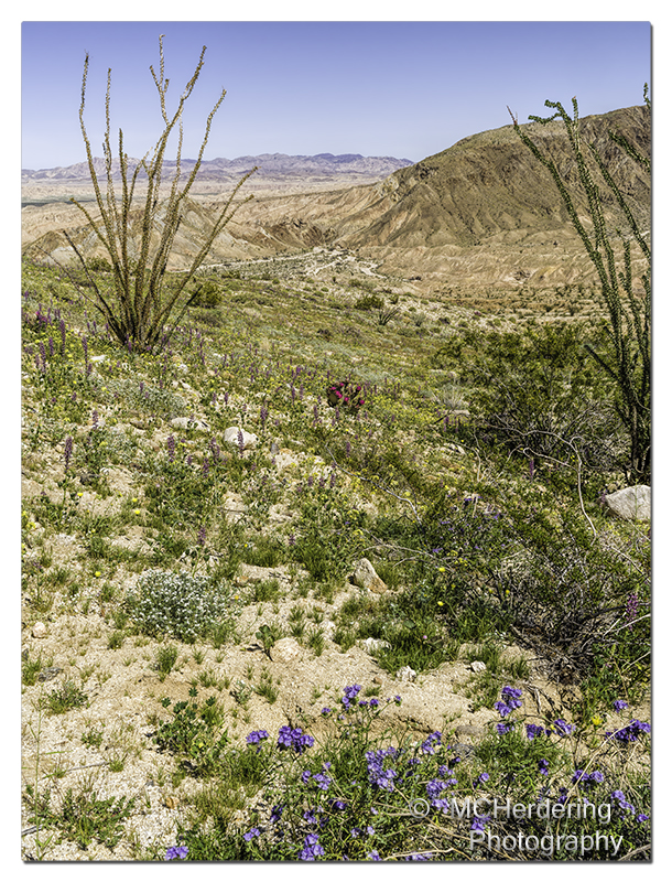 Click to inquire images/california/_6450924.jpg
