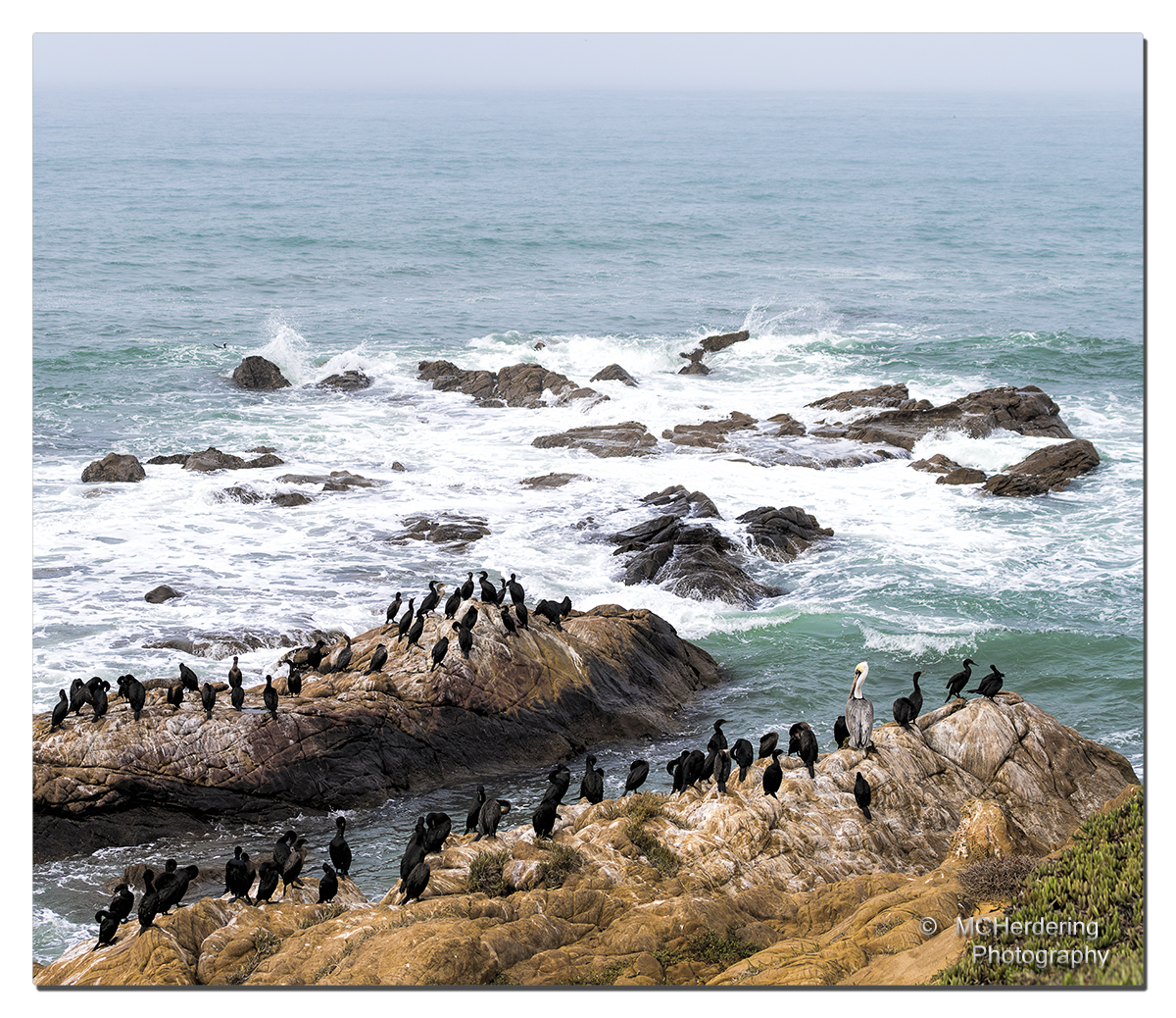 Click to inquire images/california/_6452460.jpg