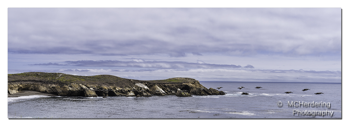 Click to inquire images/california/_6454073.jpg