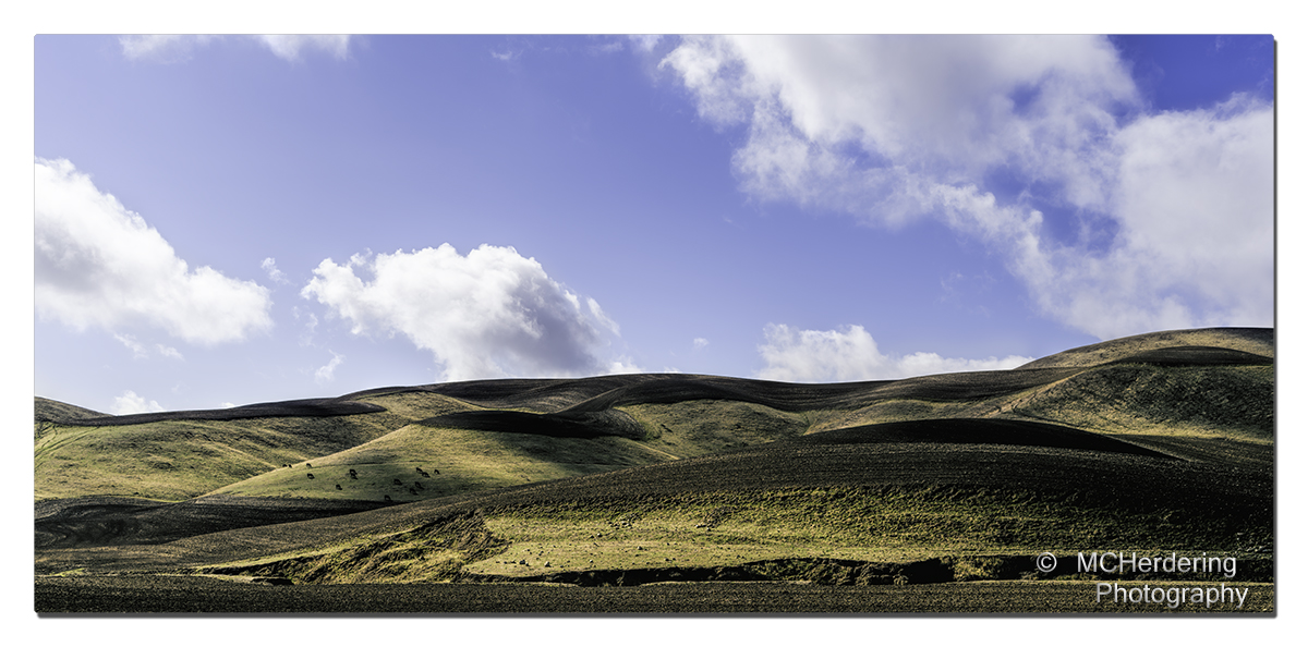 Click to inquire images/california/_6454826.jpg