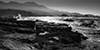 images/california/_d800156-bw_small.jpg