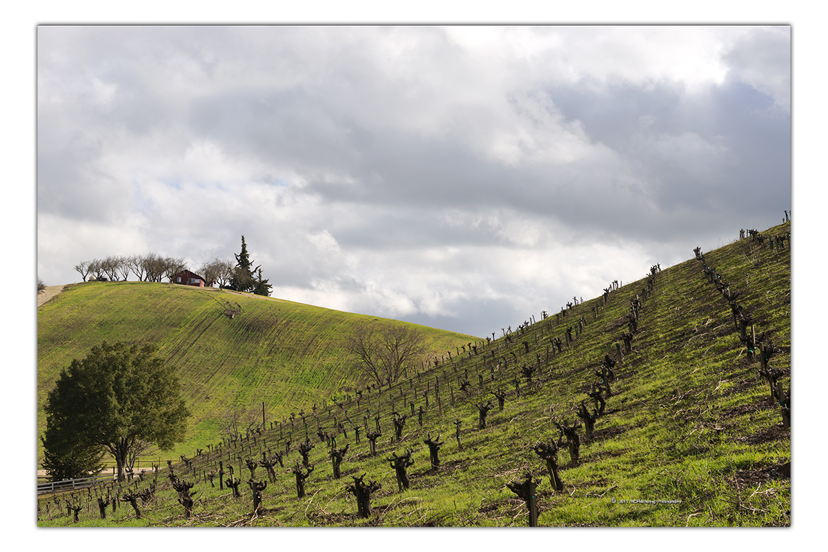 Click to inquire images/california/_d804558.jpg