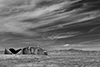 images/california/_d805906_bw_small.jpg