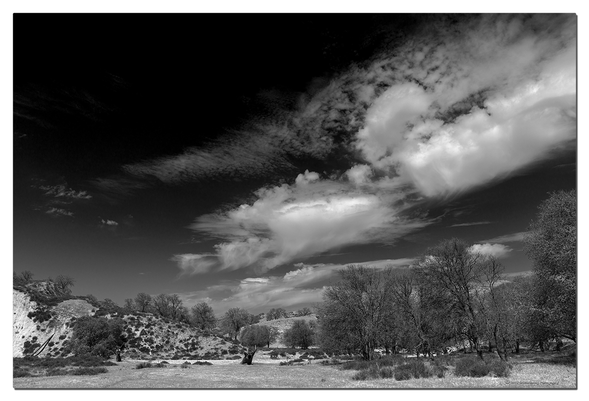 Click to inquire images/california/_d806043_bw.jpg