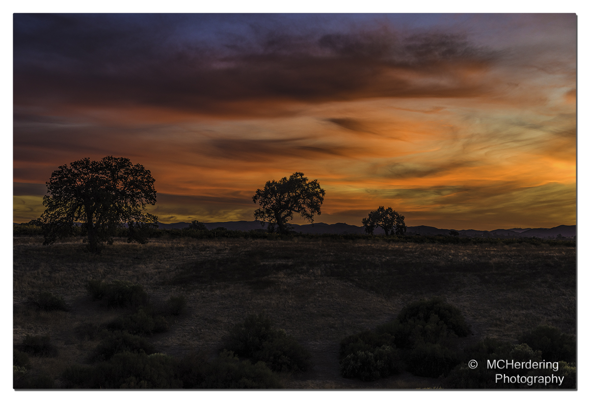 Click to inquire images/california/_k1_4707.jpg