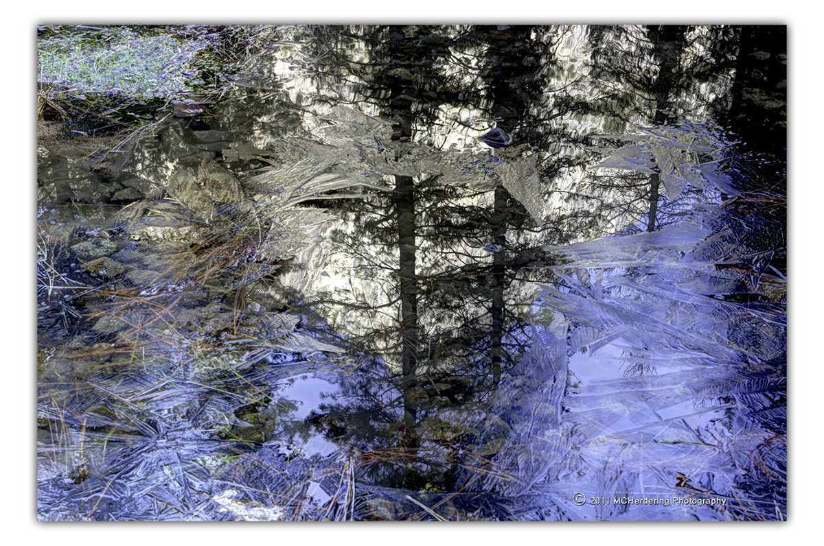 Click to inquire images/california/_k5_9409.jpg