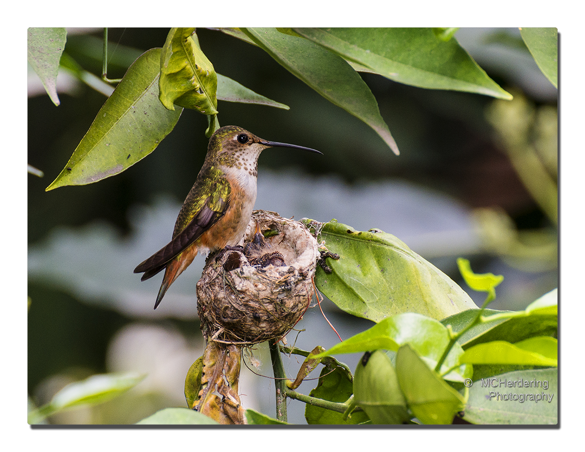 Click to inquire images/hb/_d805745.jpg