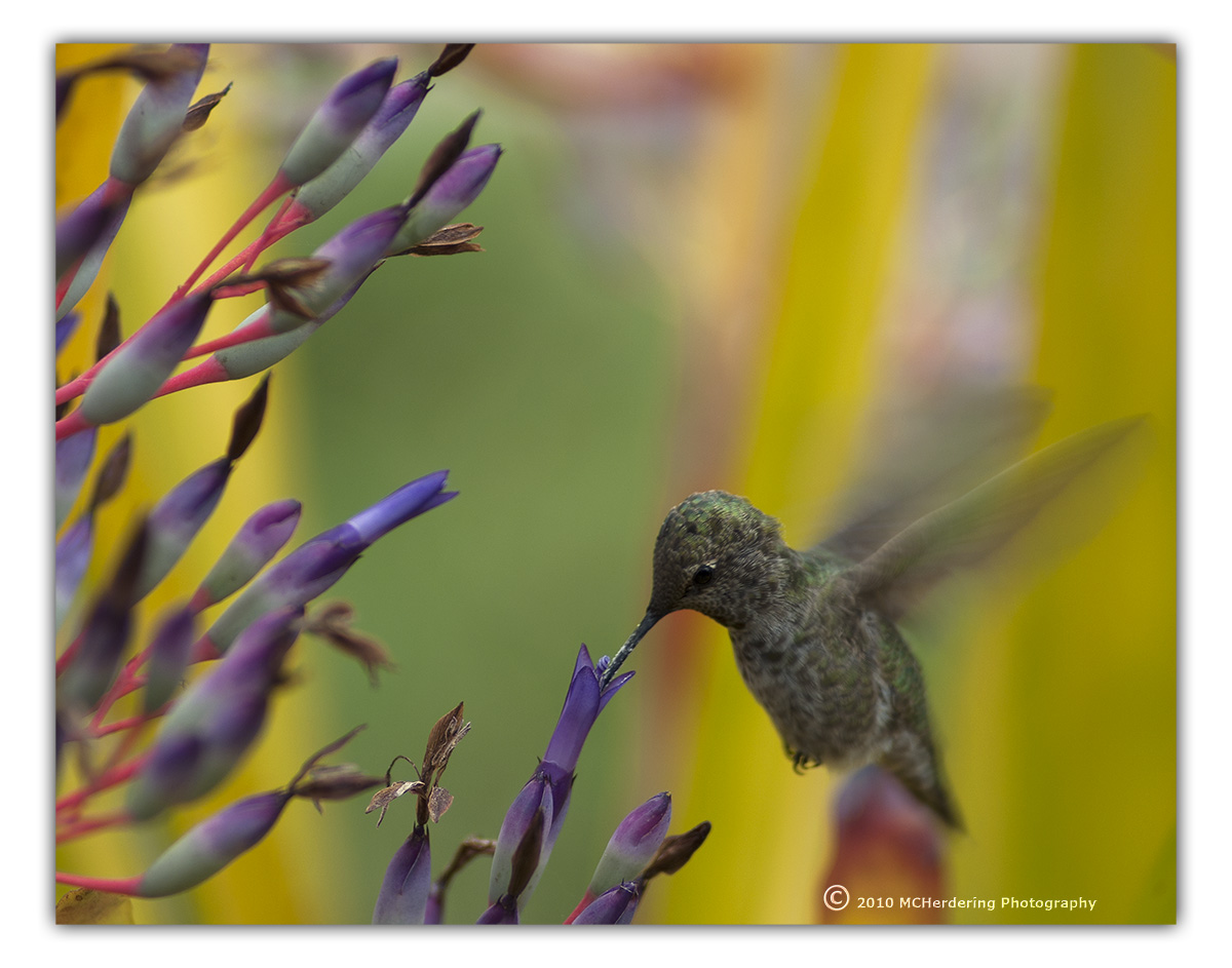 Click to inquire images/hb/_igp0138.jpg