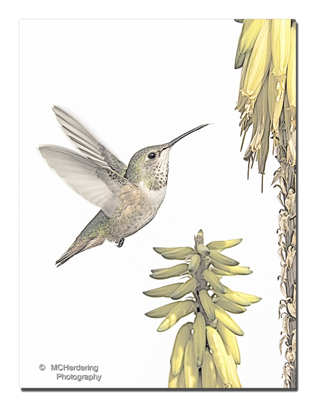 Click to inquire images/hb/_k3_1625_pencil.jpg