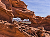 images/nevada/_6453464_small.jpg