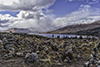 images/scotland/_6455858_small.jpg