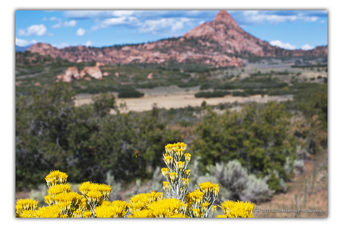 Click to inquire images/utah/_k7_2678.jpg